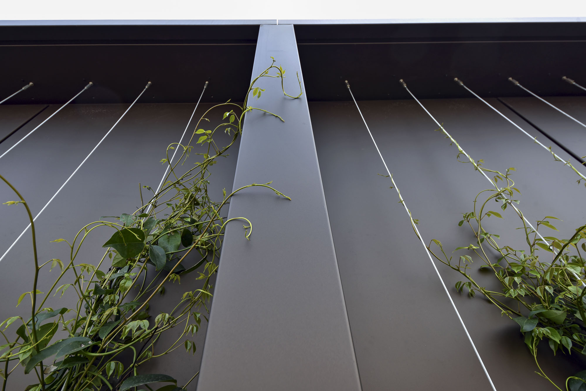 50 Berkeley Street OAG Architectural Cladding 50 Berkeley Street OAG Architectural Cladding